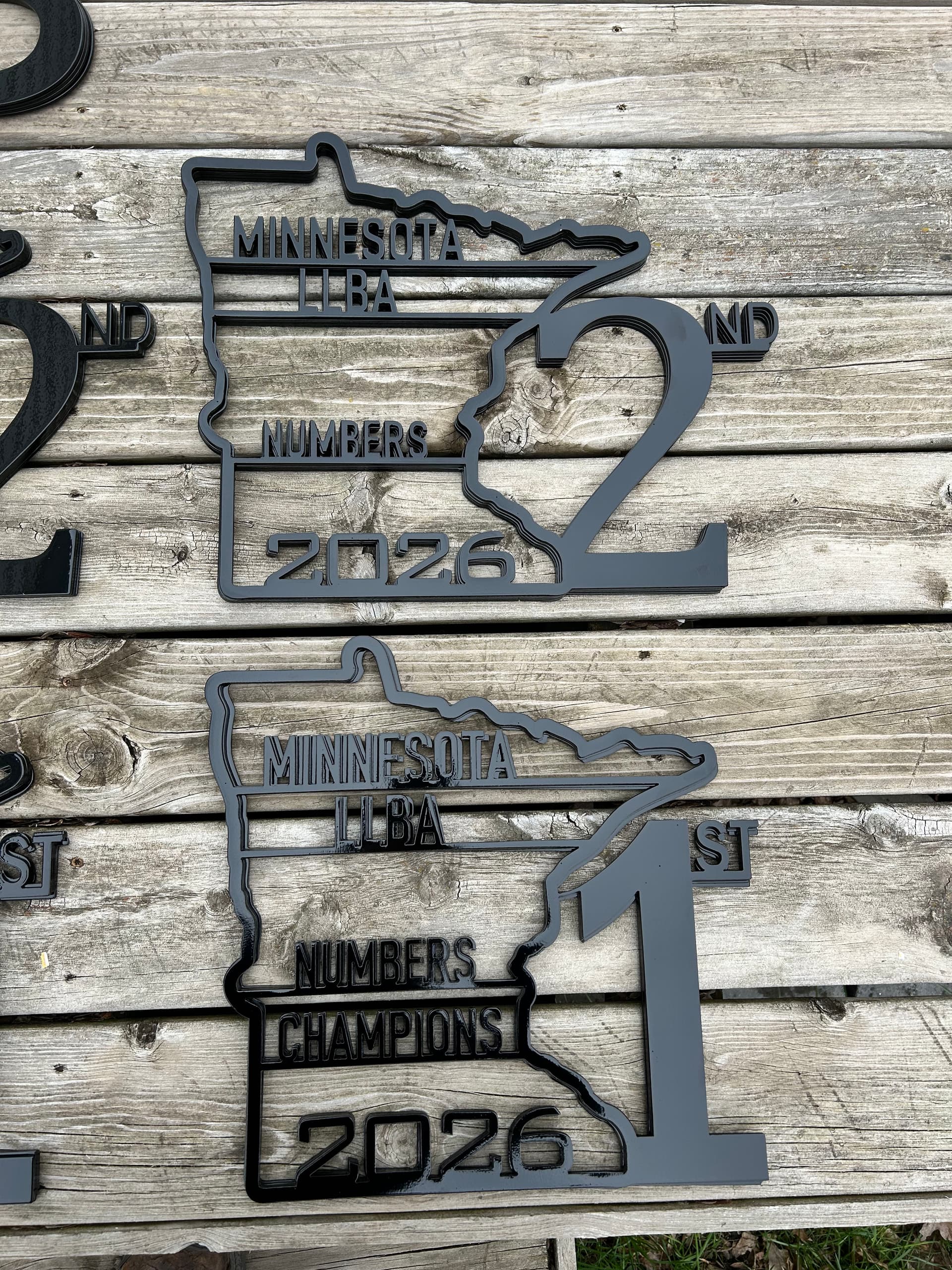 Gallery photos for Custom Metal Trophies for the Minnesota LLBA Bowfishing Association: Image #3